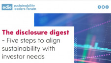 The report is based on a co-creation roundtable of sustainability leaders and investor representatives